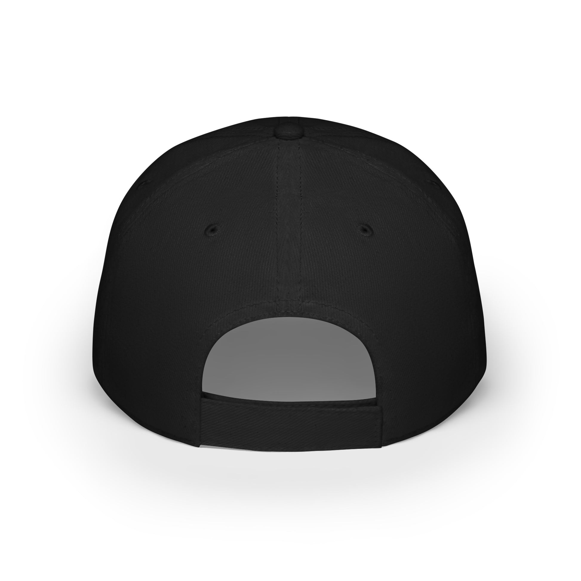 The Back of Black Pickleball American Flag Series - Low Profile Baseball Cap/Hat