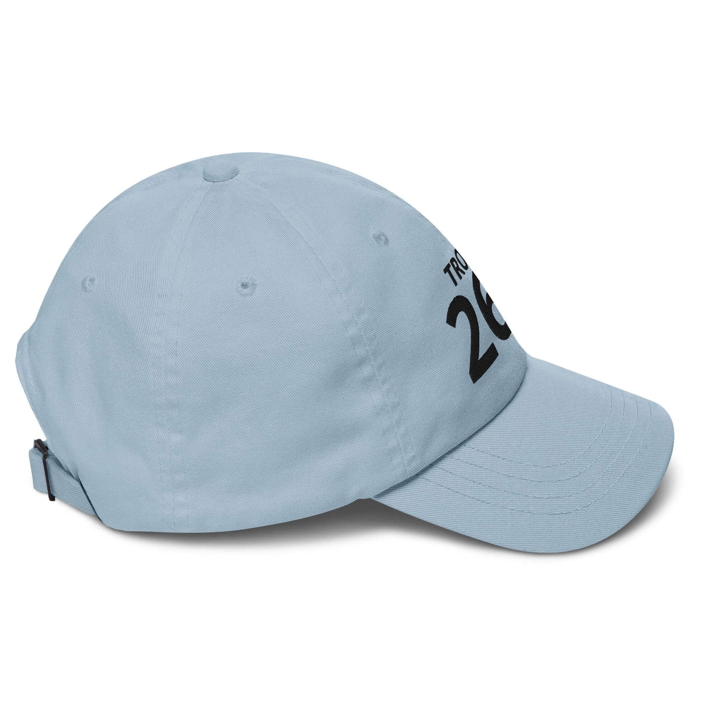 Standard Edition dad hat in light blue with black text, featuring an adjustable strap and curved visor.