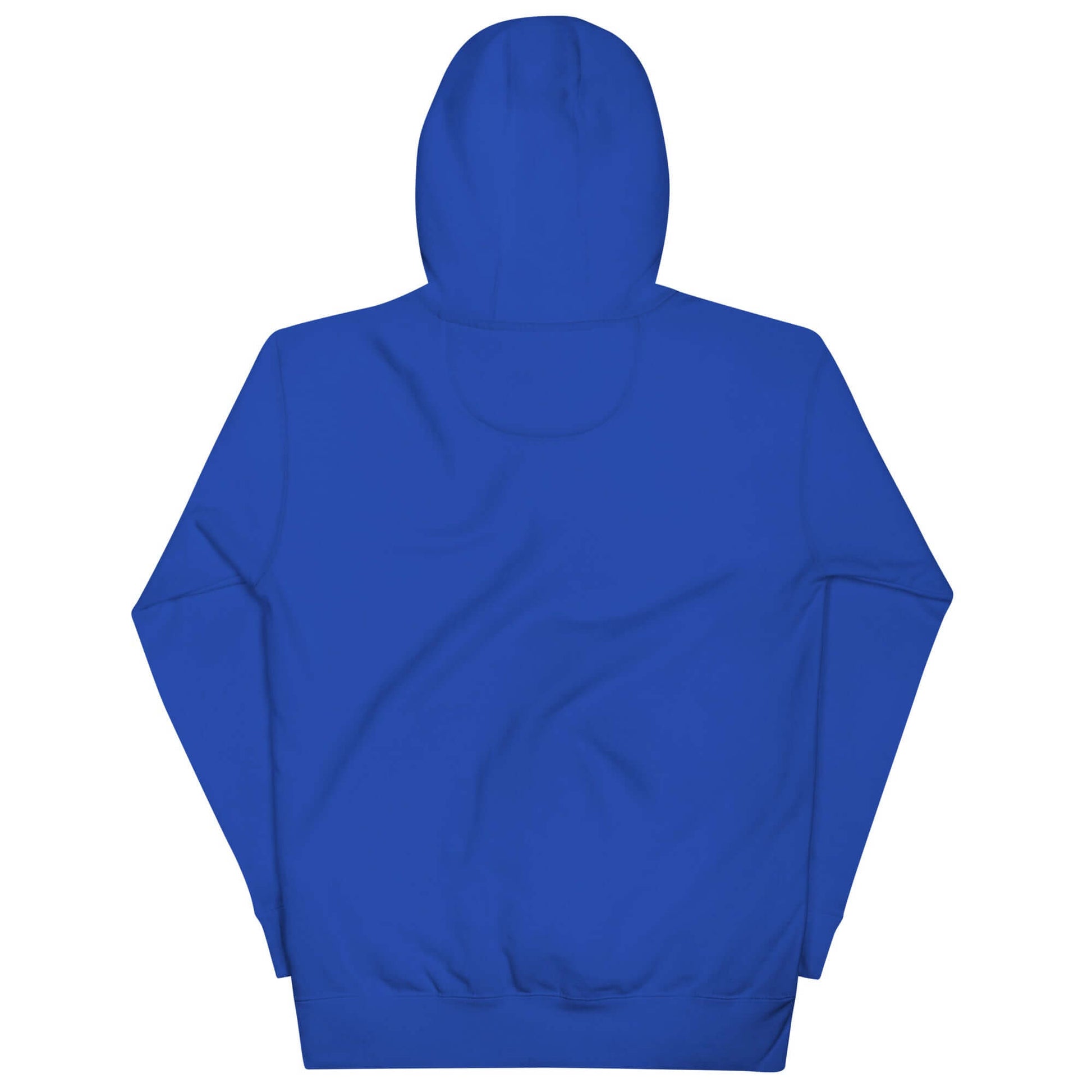 Back view of a women's blue hoodie designed for pickleball enthusiasts, showcasing comfort and style.