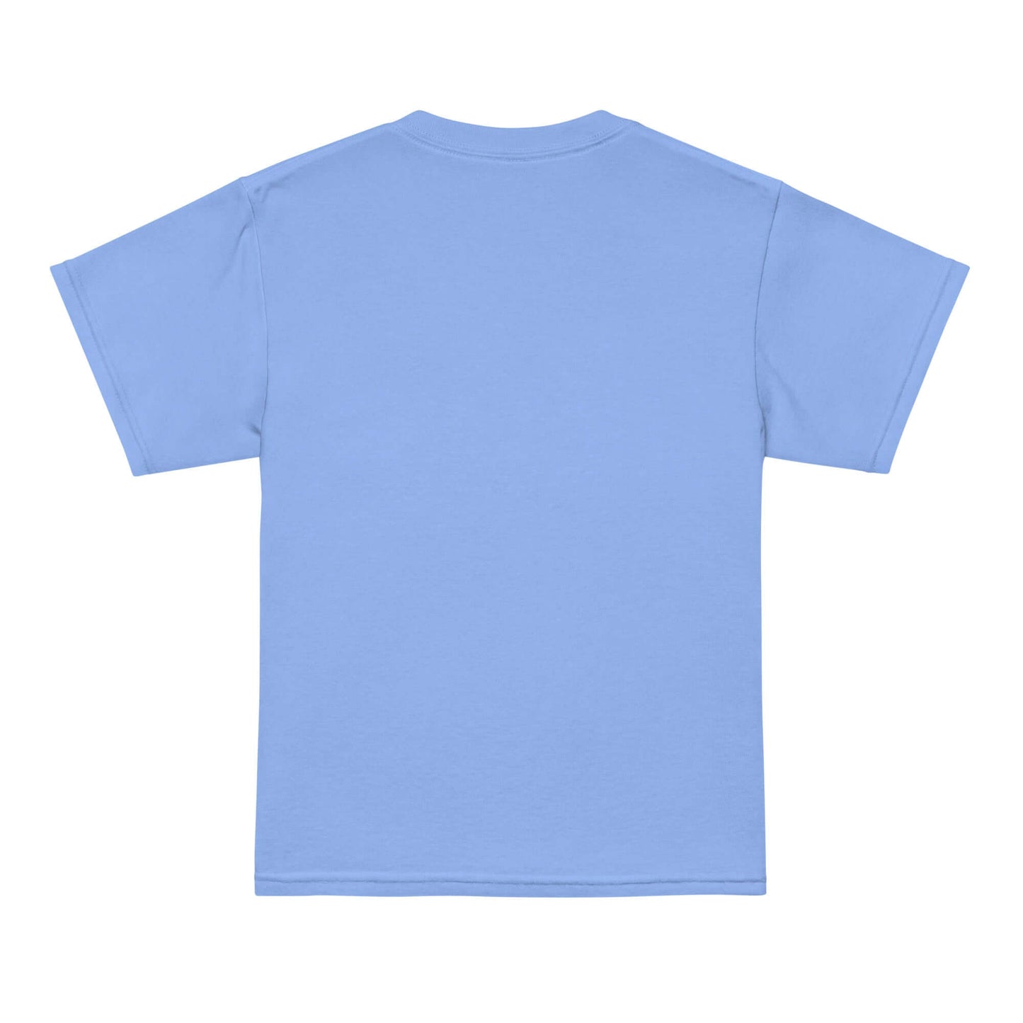 Back view of a blue moisture-wicking t-shirt for kids, designed for active days with modern fit.